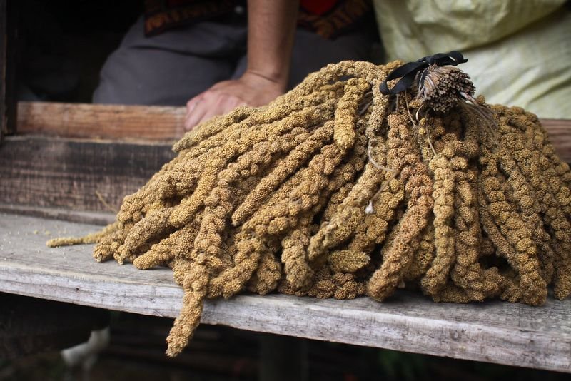 resources of Millets exporters