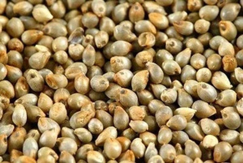 resources of Millets exporters