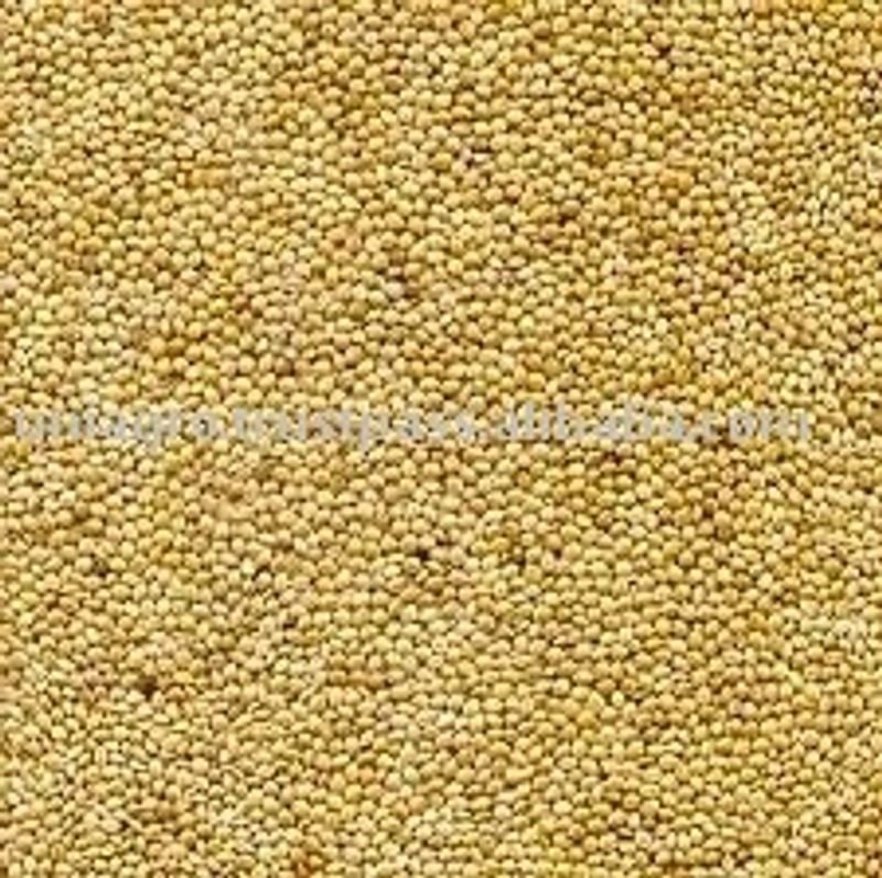 resources of Organic Finger Millet / Ragi Whole exporters