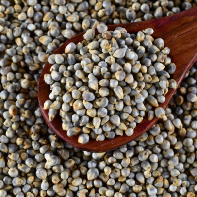 resources of Yellow Millet exporters resources of Yellow Millet exporters