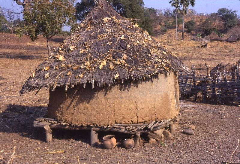 resources of Millet in husk exporters