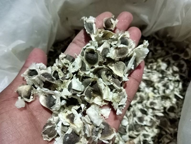 resources of Pet Preform Regrind Natural Color exporters