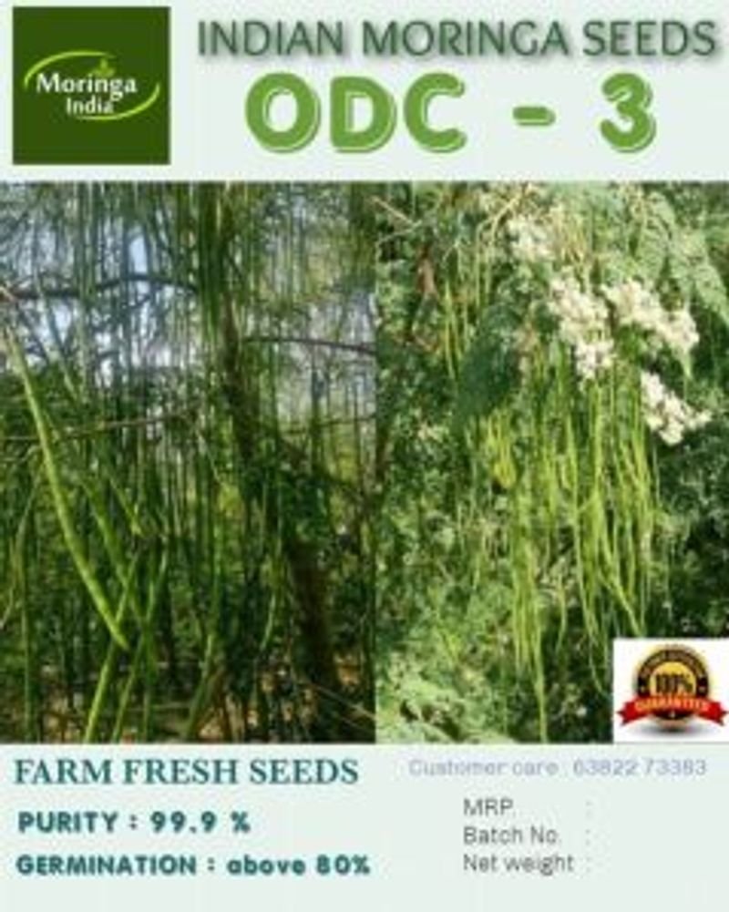 resources of Moringa exporters