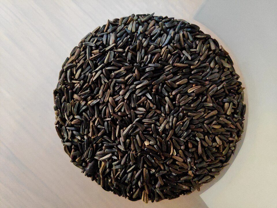 Niger Seeds Exporters, Wholesaler & Manufacturer | Globaltradeplaza.com