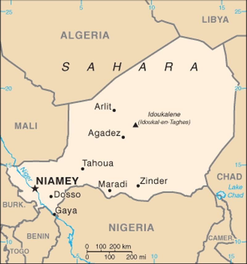 resources of Niger seeds exporters resources of Niger seeds exporters