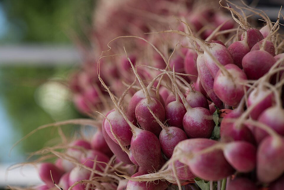 Organic Fruits Exporters, Wholesaler & Manufacturer | Globaltradeplaza.com