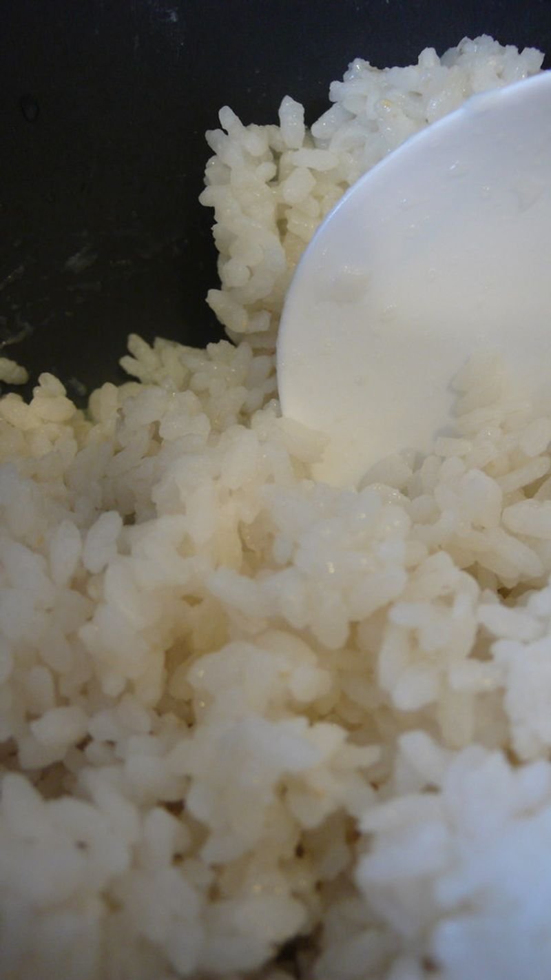 resources of Organic Rice Berry exporters