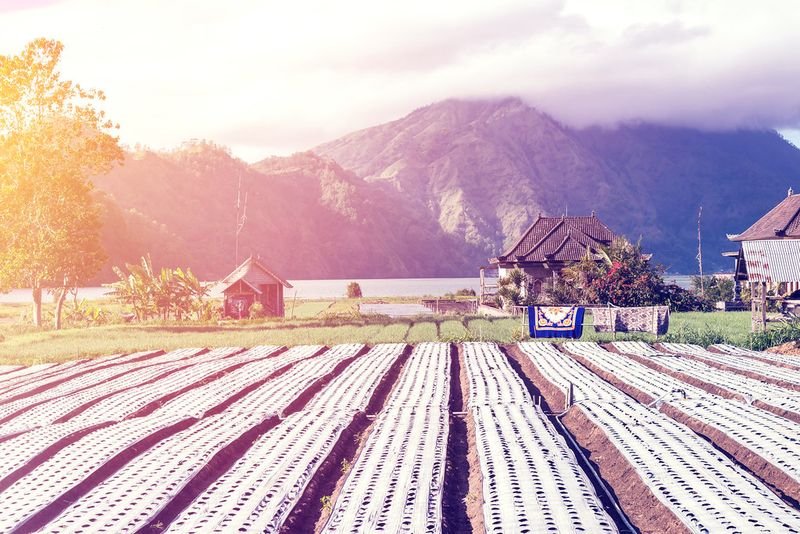 resources of Organic Rice Starch EU exporters
