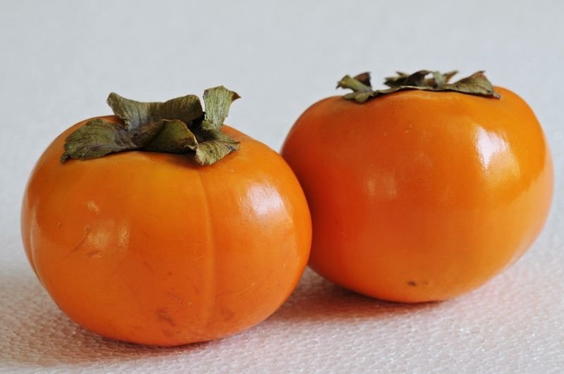 resources of Organic Squash Patisson, Orange exporters resources of Organic Squash Patisson, Orange exporters