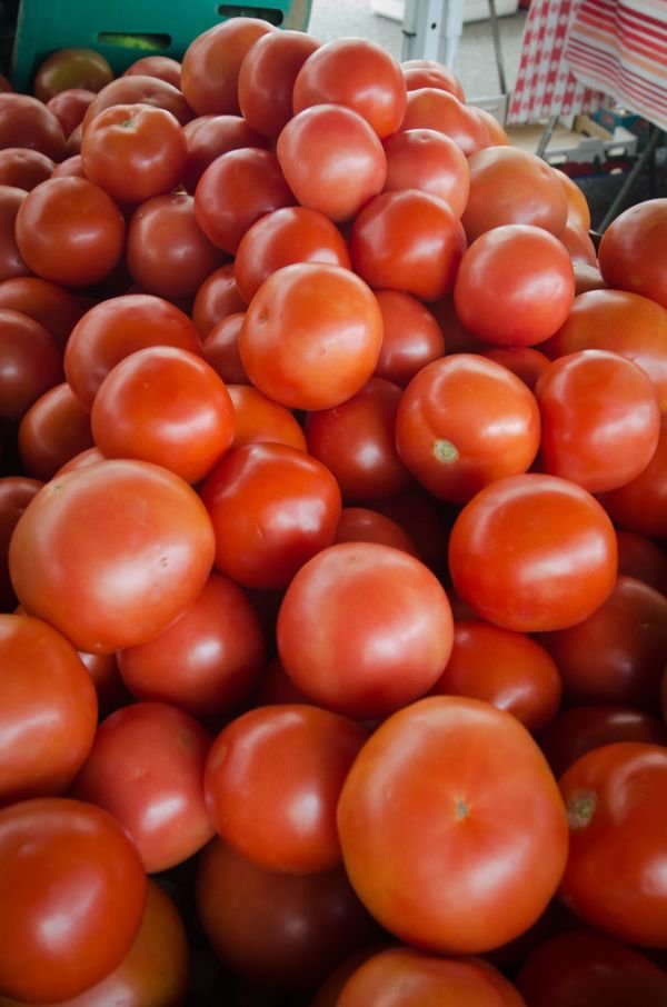 resources of sallaca fruit (salak) from tropical fruit exporters