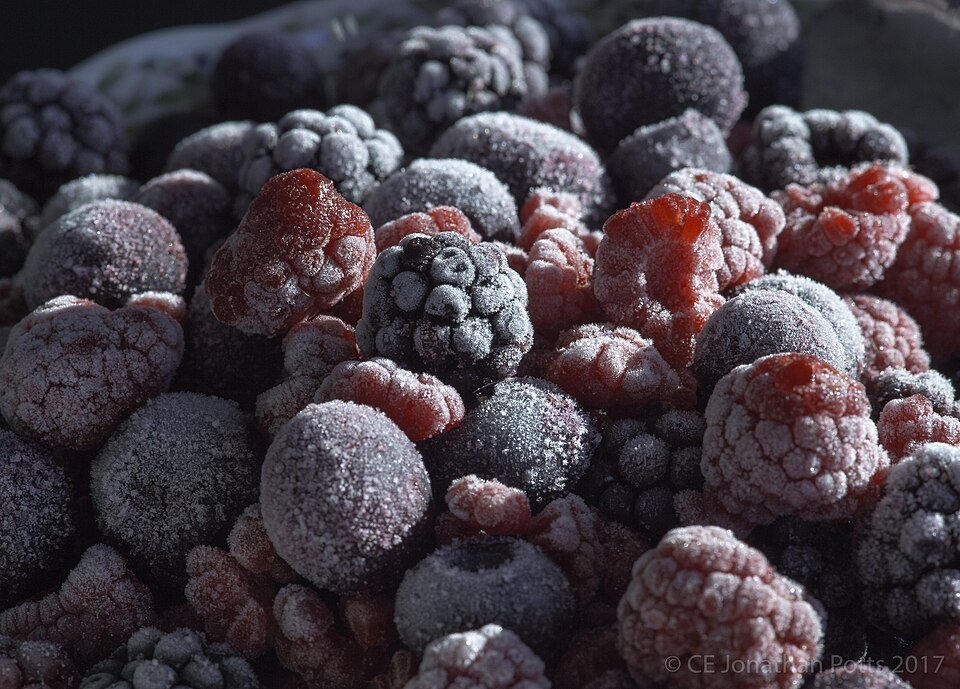 Other Frozen Fruits Exporters, Wholesaler & Manufacturer | Globaltradeplaza.com