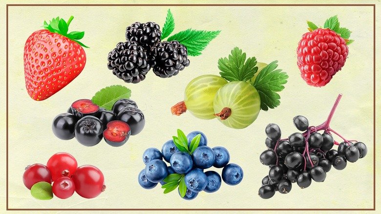 resources of Antioxidant exporters