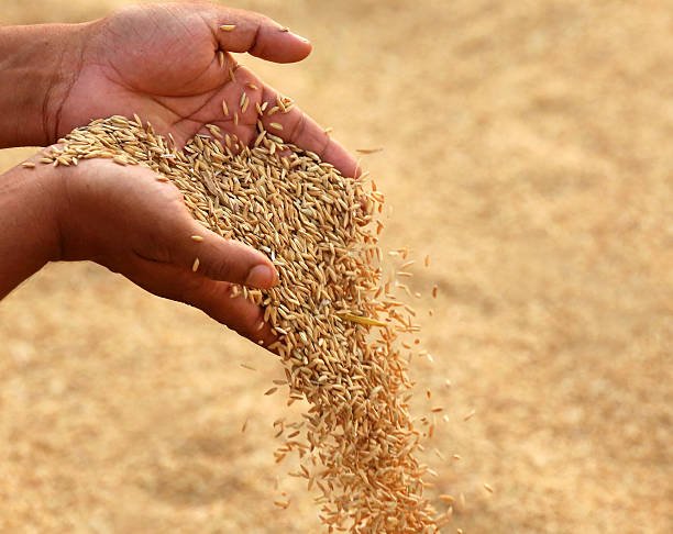 resources of Agro Commodities exporters