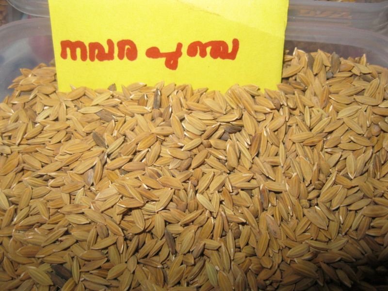 resources of Meghli exporters