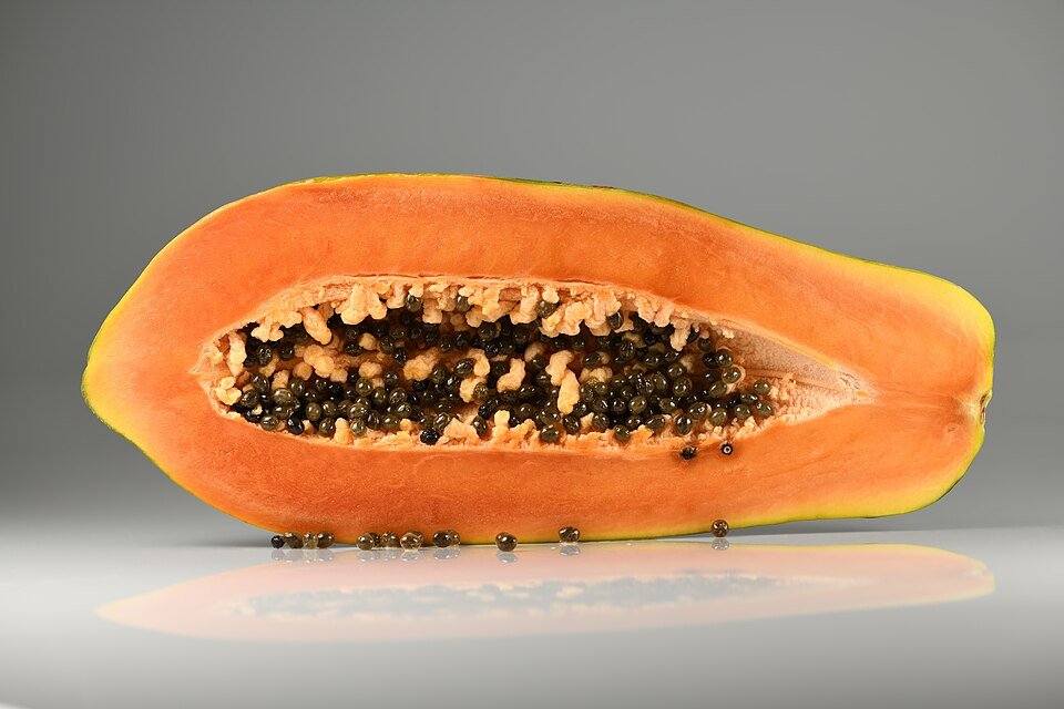 Papaya Exporters, Wholesaler & Manufacturer | Globaltradeplaza.com