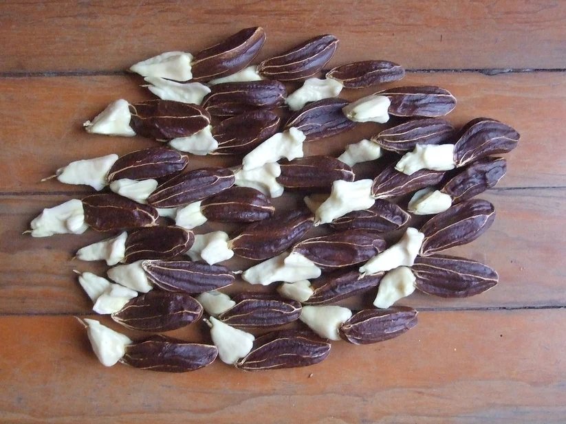 resources of Garlic cloves exporters