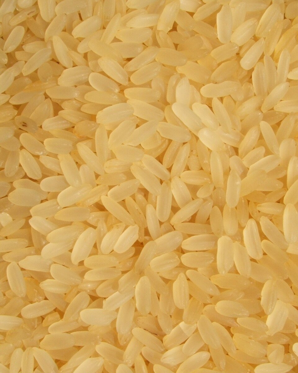 Parboiled Rice Exporters, Wholesaler & Manufacturer | Globaltradeplaza.com