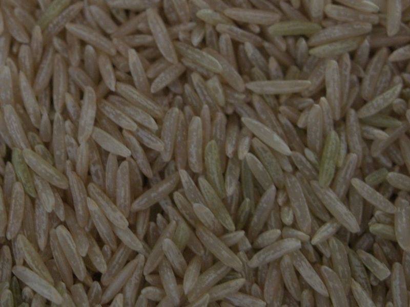 resources of Japonica rice exporters