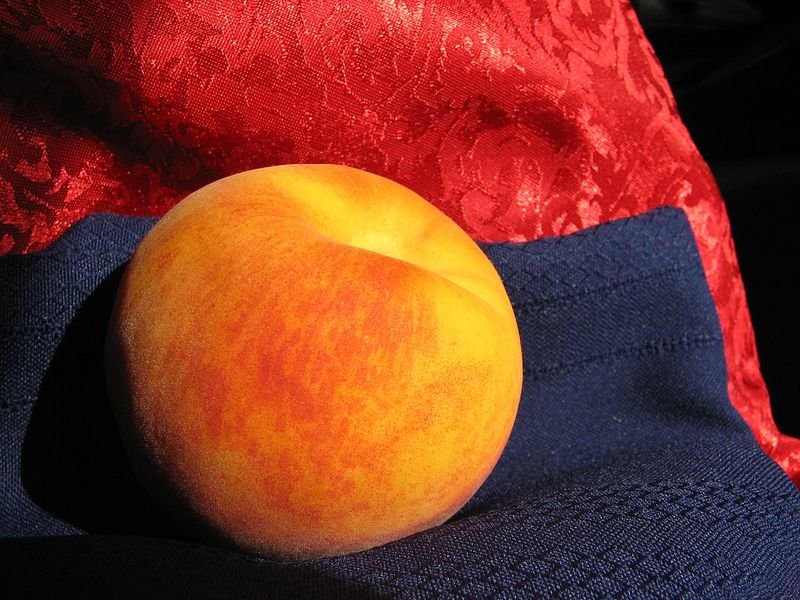 resources of Moon Cushion exporters
