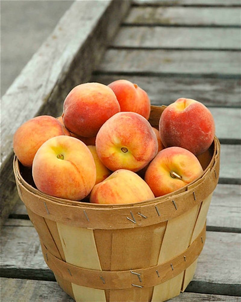 resources of Peach exporters
