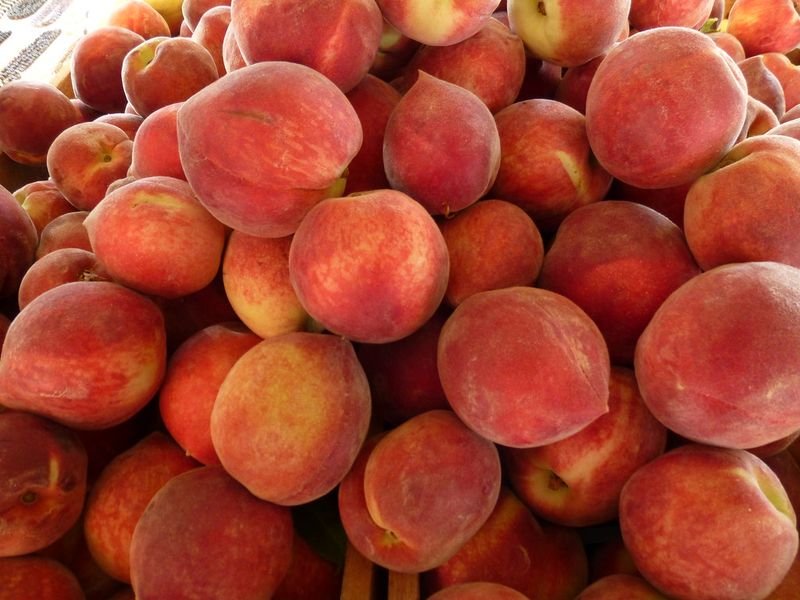 resources of Mens trackuits micro doby/peach exporters