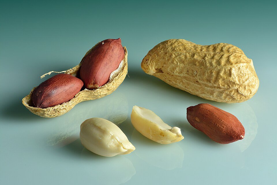 Peanuts Exporters, Wholesaler & Manufacturer | Globaltradeplaza.com