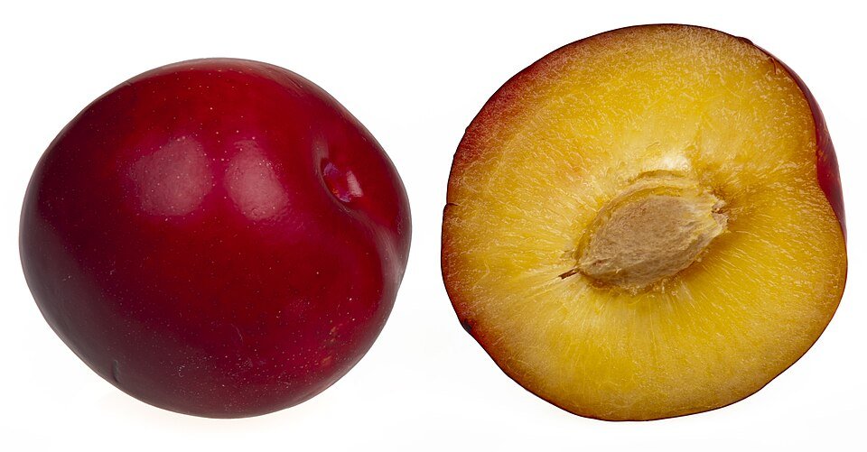 resources of Fresh Peaches,  Nectarines &amp; Plums exporters