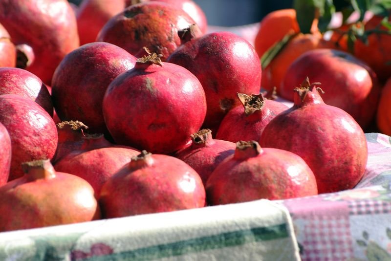 resources of Pomegranate Powder exporters
