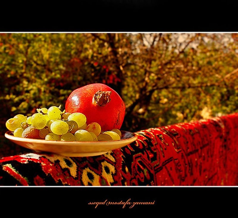 resources of Pomegranate exporters