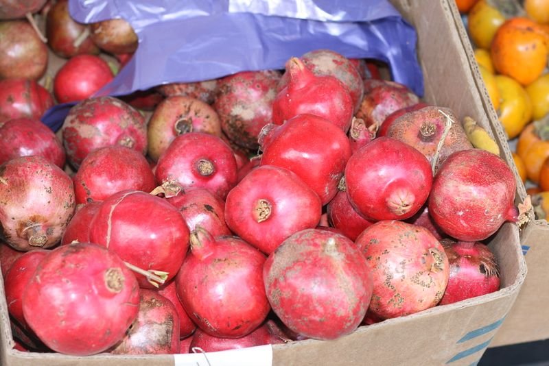 resources of Egyptian Fresh Pomegranates exporters resources of Egyptian Fresh Pomegranates exporters