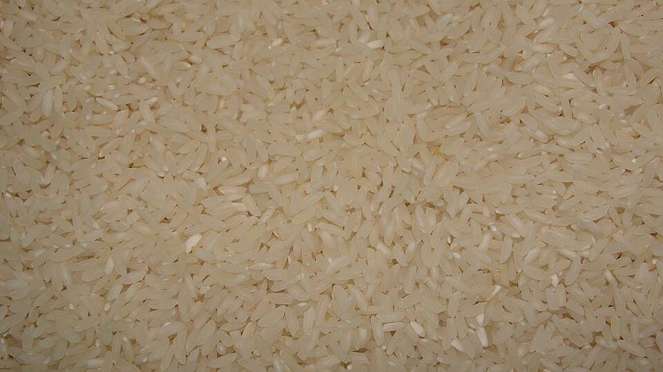 Ponni Rice Exporters, Wholesaler & Manufacturer | Globaltradeplaza.com