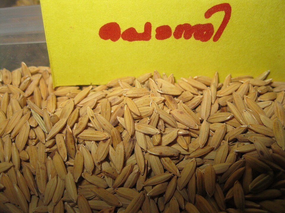 resources of Ponni Rice exporters