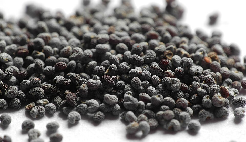 resources of Poppy Seed Sortex exporters