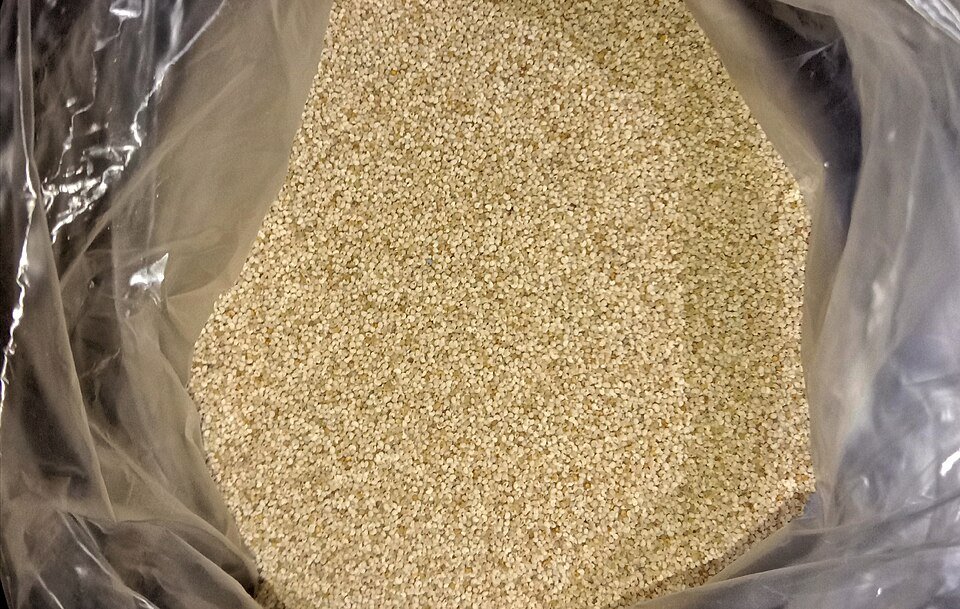 resources of Poppy Seeds exporters