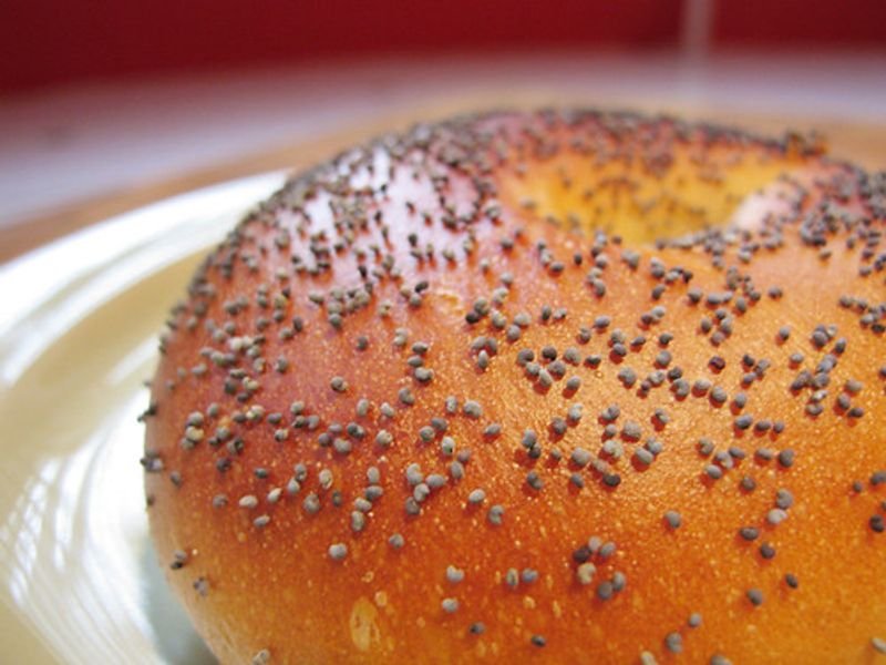 resources of Sesame oil cake exporters
