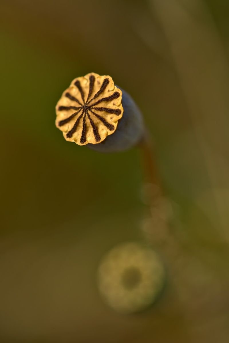 resources of Flower shape handmade 18k solid gold charm exporters