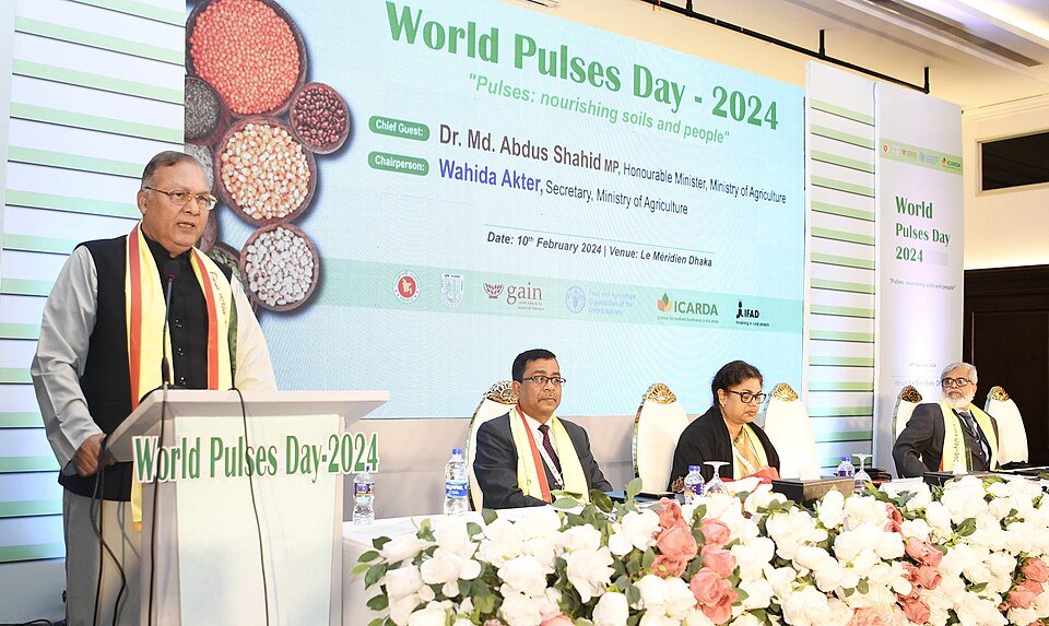 Pulses Exporters, Wholesaler & Manufacturer | Globaltradeplaza.com