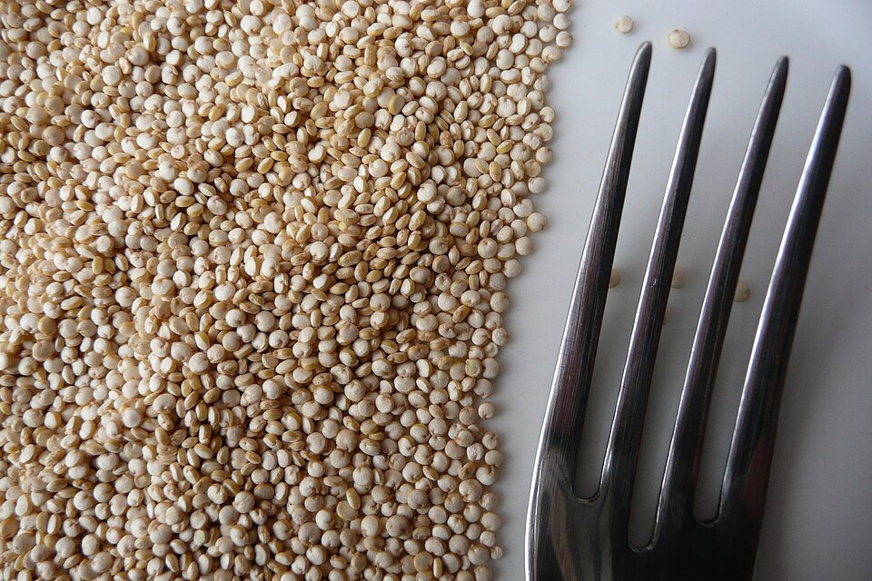 Quinoa Seeds Exporters, Wholesaler & Manufacturer | Globaltradeplaza.com