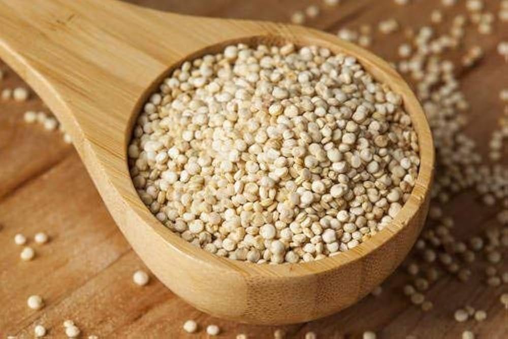 resources of Sesame Protein exporters