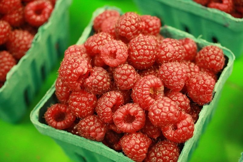 resources of Raspberry Puree & Concentrate exporters