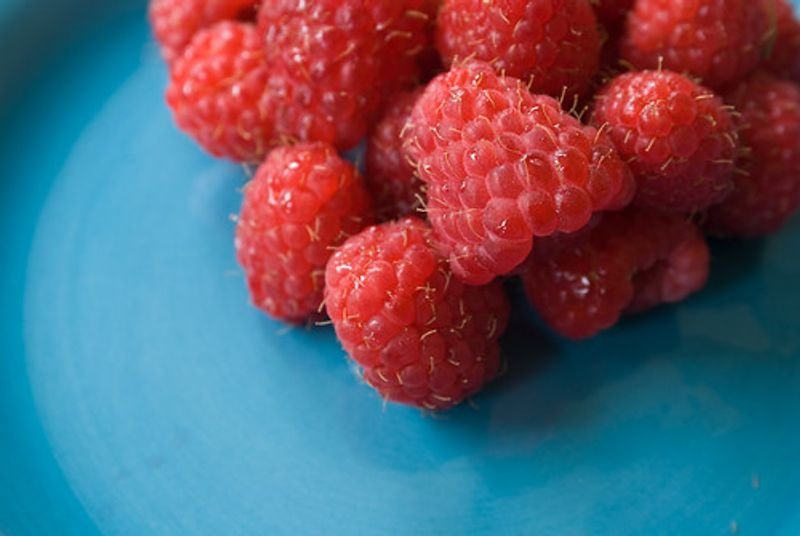resources of Bottle Raspberry Juice Carbonated Water exporters resources of Bottle Raspberry Juice Carbonated Water exporters