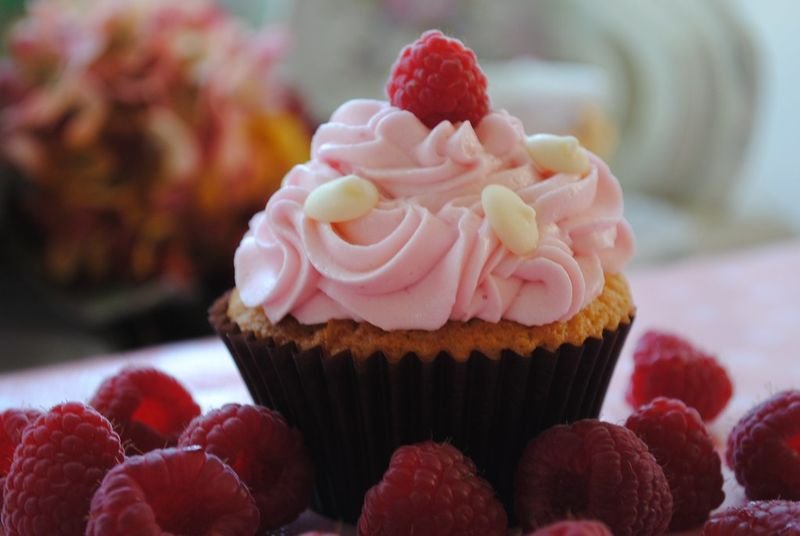 resources of Freeze dried raspberry exporters resources of Freeze dried raspberry exporters