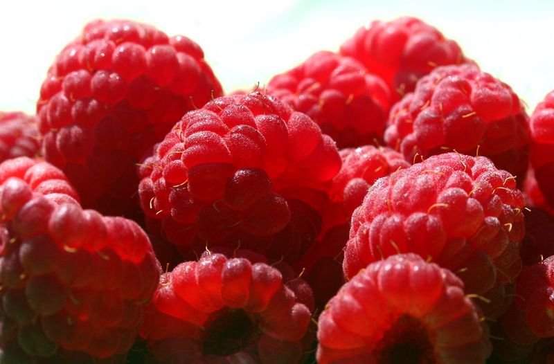resources of Joy Skin Fruits Active Moisture Fruit exporters
