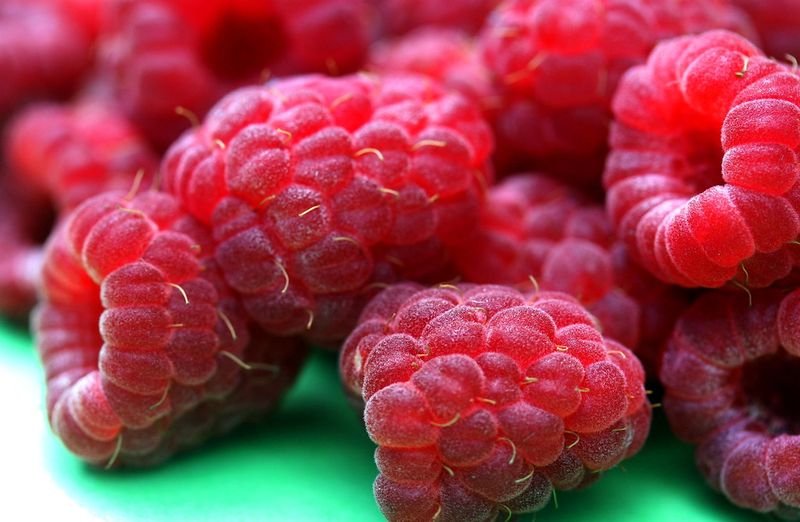 resources of Raspberries exporters