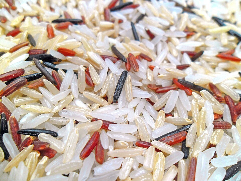 resources of Organic Ambemohar Rice exporters