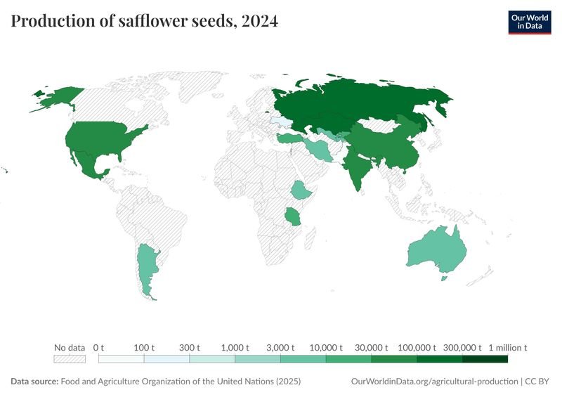 resources of Safflower Seeds exporters resources of Safflower Seeds exporters