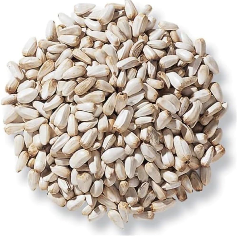 resources of Shelled Sunflower Seeds exporters