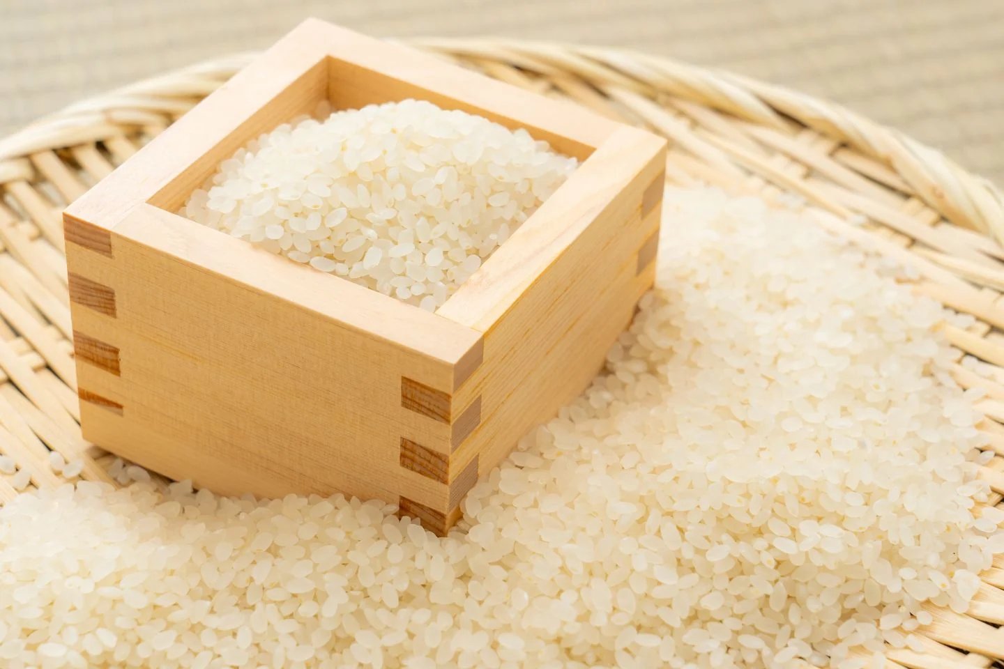resources of Rice Syrup Solids exporters