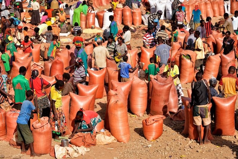 resources of Sorghum Millets exporters