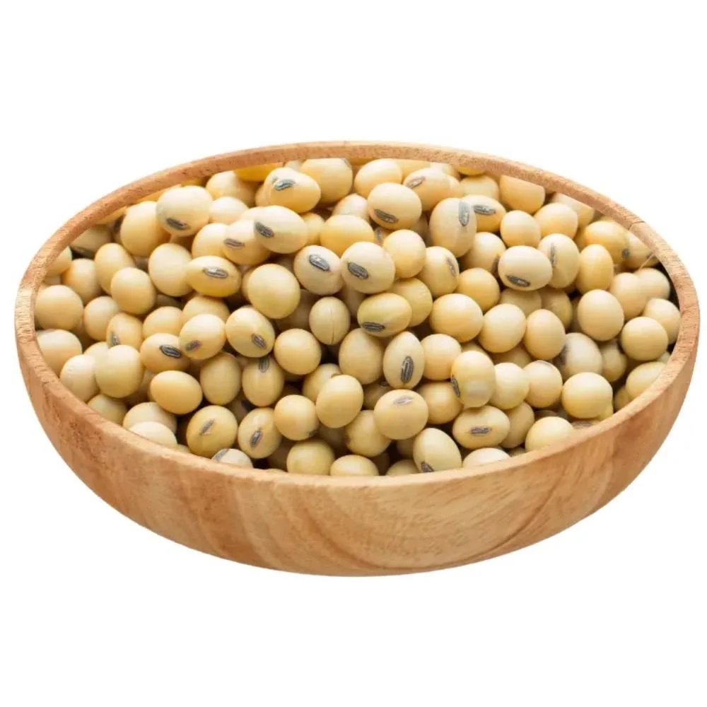 resources of Soybean Seed (NON GMO) exporters
